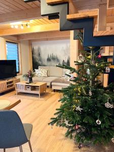 Domek Sumigoj w Chochołowie