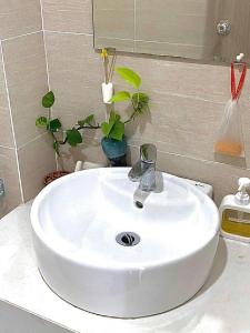 Căn hộ cao cấp 2 pn