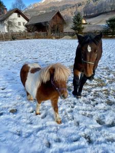 Apartment Schlickenhof