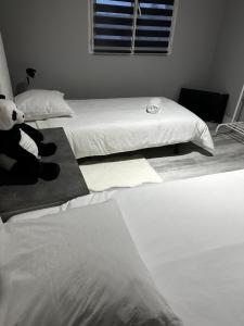 Appartement confortable