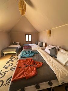 Eternal Luxury Camp