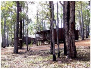 Balingup TimberTop Cottages