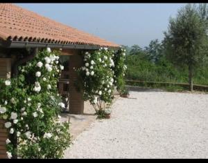 Country House - Casa Raffaella di Michele e Sven