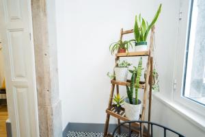 Bairro Novo - Alojamento Local