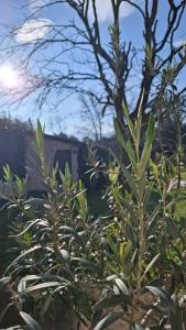 Ginette et Marcel la maison