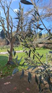 Ginette et Marcel la maison