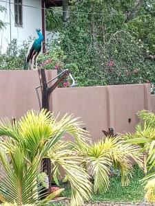 Ceylan Breeze Beach Resort