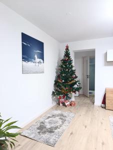 Apartament Karina
