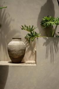 Villa Lucia Tropical 2BR Private Pool in Uluwatu