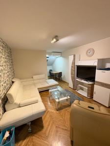 Centar Safarikova 37