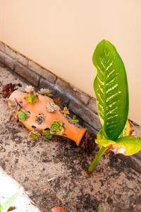 Coastal Sela Self-catering