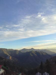 WoodVilla Cottages and Camps