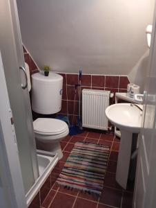 Петра Дивчибаре Petra Divčibare