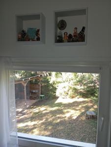 Петра Дивчибаре Petra Divčibare