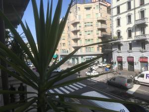 New one-bedroom apartment with terrace in the NoLo area, Metro 1 Rovereto stop