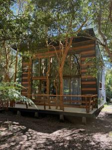 Cabañas Mountain Fox -Chilote