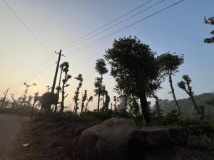 Navira homestay