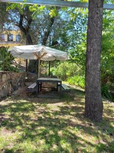 Tere & Tino Cabañas