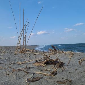 Appartement 63 m2, tout confort, climatisé.