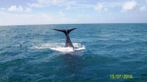 Mini Recanto da Rosalina