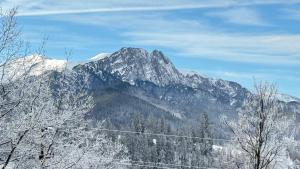 Apartament Betlejemka