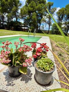 Casa Los Talas La Cumbre Argentina