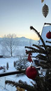 Apartament Betlejemka