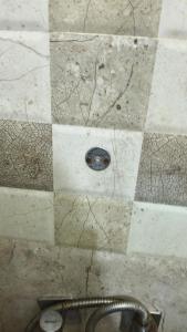 Shri Ganesh gest house 3 km Kashi Vishwanath Temple