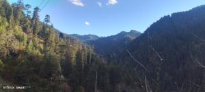 the clifton chapter tirthan