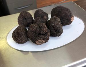 Le Brissonneau - Séjour Truffe avec table dhôtes