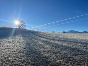 Ferienwohnung Wallmerhof am ländlichen Wimberg