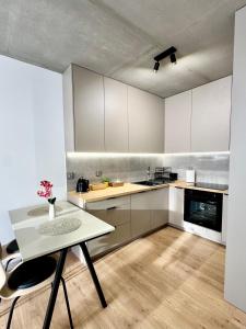 Piast Apartment - free parking