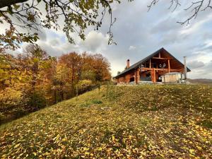 Amber Hills Romania
