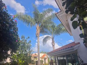 jardines del Campestre san perdón 109