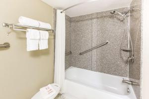 Queen Room with Two Queen Beds - Non-Smoking room in Super 8 by Wyndham Caryville TN