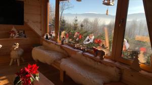 Apartament Hakerówka