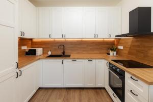 BNB Bory Retreat with Balcony and Parking space