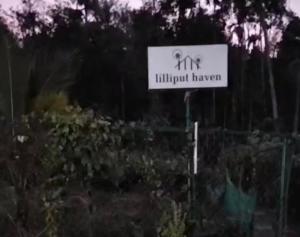 LilliputHaven Treehut