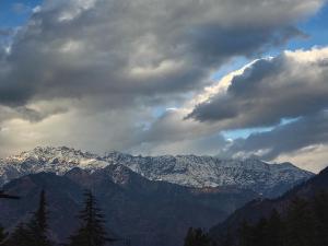 Alpine Lodge And Stays