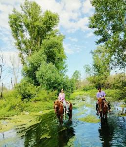 Affitta Camere La Classica Castiglione di Sicilia