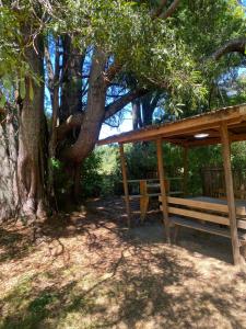 Camping fundo san pablo
