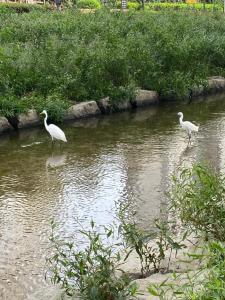 디자이너 하우스