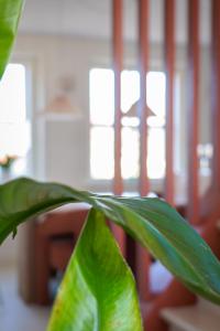 Beautiful 2 bedroom apartment in the historic center