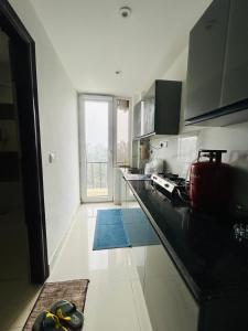 The Escape of Paradise VI