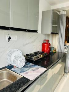 The Escape of Paradise VI