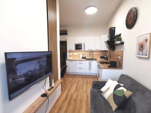 Sunny Balcony Apartment Brno