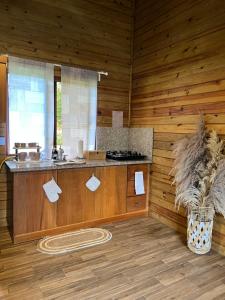 Estaciones de Jarabacoa-Mountain Lodge