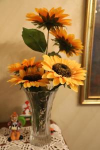 Casa con Giardino a Roma, 2 Camere, Ideale per Famiglie, 15 minuti dal Colosseo, 5 minuti da Mirti