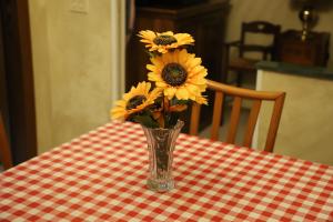 Casa con Giardino a Roma, 2 Camere, Ideale per Famiglie, 15 minuti dal Colosseo, 5 minuti da Mirti