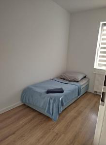 Apartamenty Ścinawa